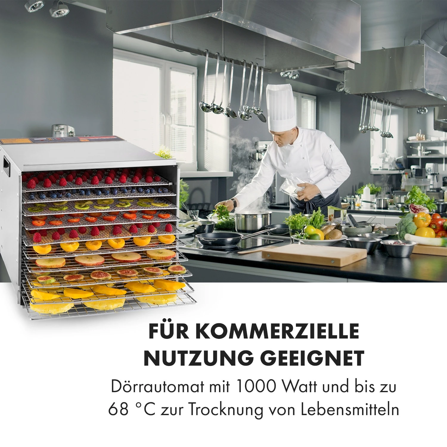 Fruit Jerky Steel 10 Dörrautomat 10 Etagen 1000 W Fläche: 1,5 M² Timer 4 Fruit Jerky Steel 10 Dörrautomat 10 Etagen 1000 W Fläche: 1,5 M² Timer – Bild 2