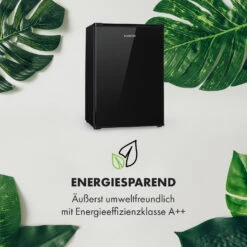 Delaware Kühlschrank 75 Liter 4-Liter-Gefrierfach Kompression -Küchenbedarf Angebote 10034554 de 0003 logo